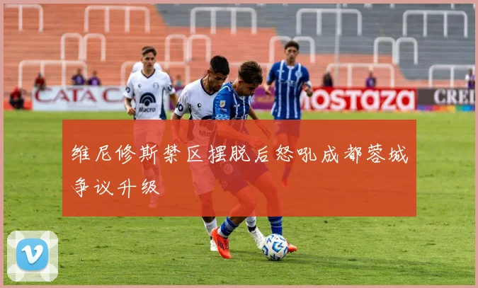 维尼修斯禁区摆脱后怒吼成都蓉城争议升级