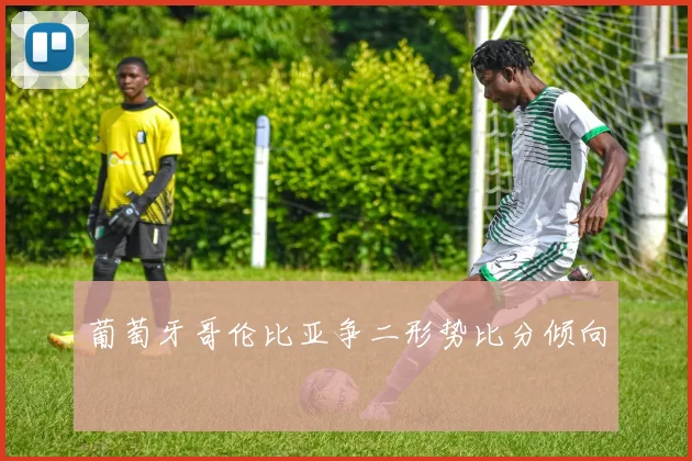 葡萄牙哥伦比亚争二形势比分倾向