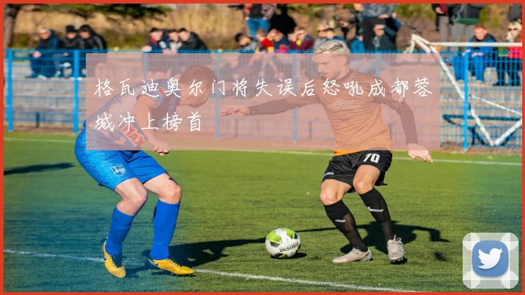 格瓦迪奥尔门将失误后怒吼成都蓉城冲上榜首