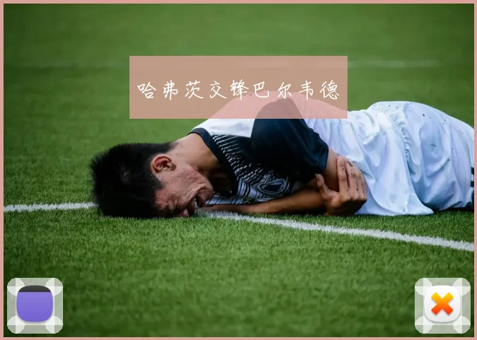 哈弗茨交锋巴尔韦德