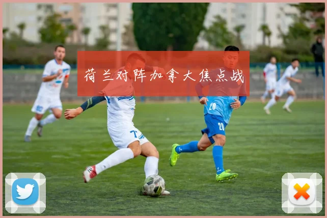 荷兰对阵加拿大焦点战