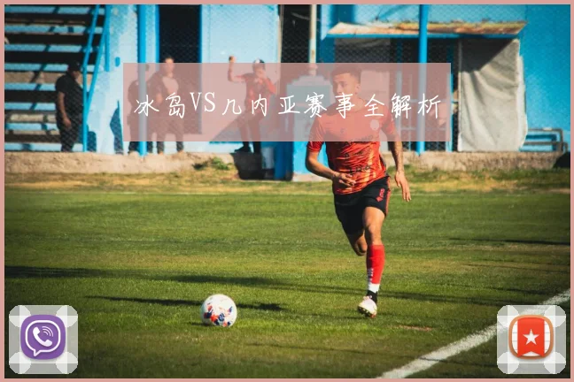 冰岛VS几内亚赛事全解析