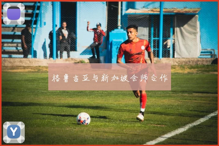 格鲁吉亚与新加坡会师合作