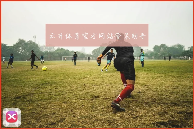 云开体育官方网站登录助手