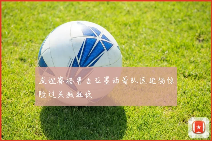 友谊赛格鲁吉亚墨西哥队医进场惊险过关疯狂夜