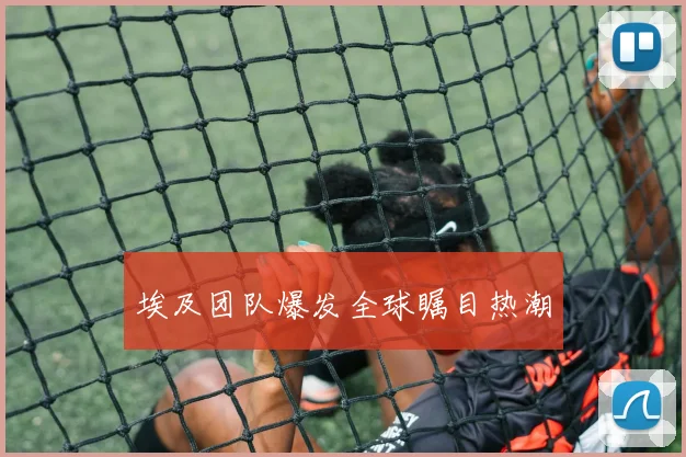 埃及团队爆发全球瞩目热潮
