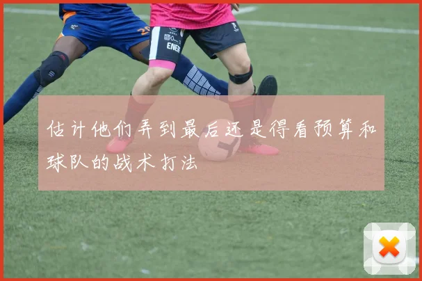估计他们弄到最后还是得看预算和球队的战术打法