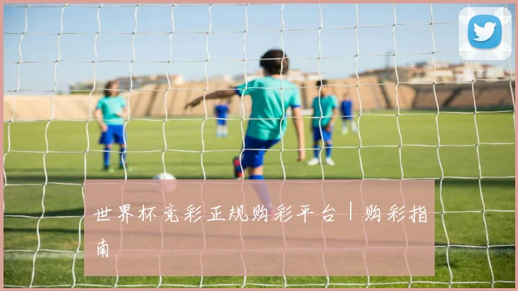 世界杯竞彩正规购彩平台｜购彩指南