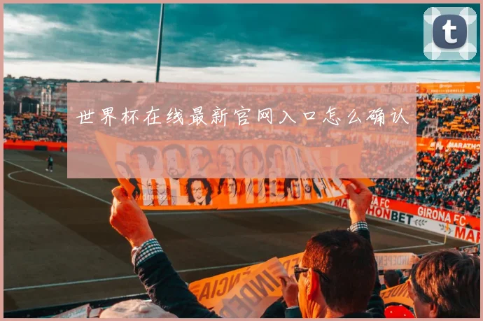 世界杯在线最新官网入口怎么确认
