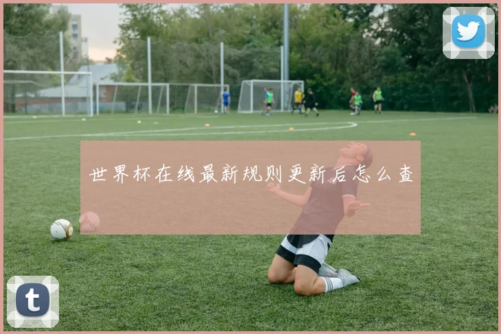世界杯在线最新规则更新后怎么查